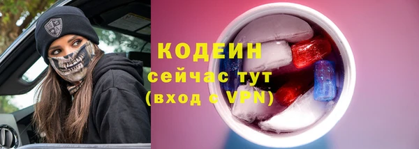 эйфоретик Богданович