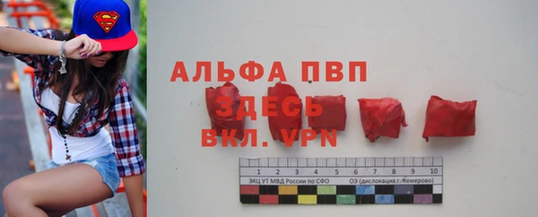 эйфоретик Богданович