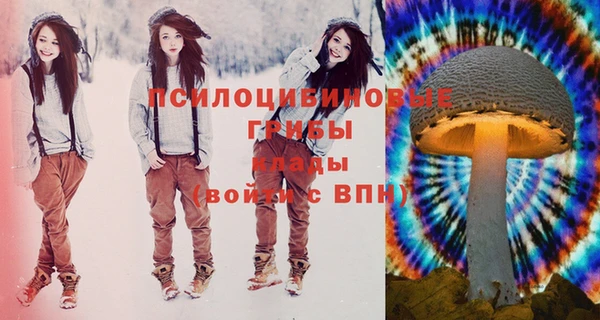 эйфоретик Богданович