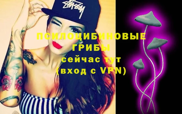 МДМА Богородицк