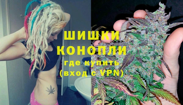 эйфоретик Богданович