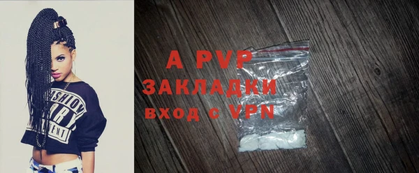 эйфоретик Богданович