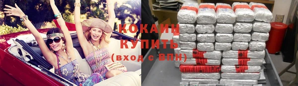 эйфоретик Богданович