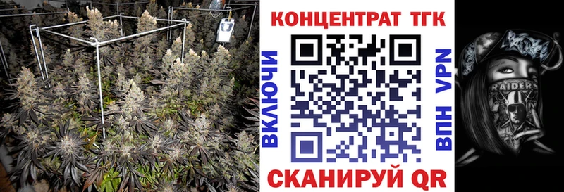 ТГК THC oil  что такое   Котлас 